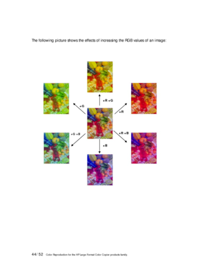 Page 4444/52   Color Reproduction for the HP Large Format Color Copier products family.   
 
 
The following picture shows the effects of increasing the RGB values of an image: 
 
 
 
+R +G
+R
+R +B
+B
+G +B 
+G
 