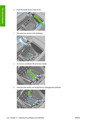 Page 1296.Push the handle back to raise the lid.
7.This gives you access to the printheads.
8.To remove a printhead, lift up the blue handle.
9.Using the blue handle, use steady force to disengage the printhead.
120 Chapter 11   Handling ink cartridges and printheads ENWW
Ink and printheads
 