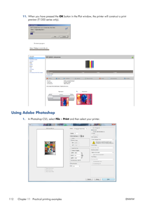 Page 12011.When you have pressed the OK button in the Plot window, the printer will construct a print
preview (T1300 series only).
Using Adobe Photoshop
1.In Photoshop CS5, select File > Print and then select your printer.
112 Chapter 11   Practical printing examples ENWW
 