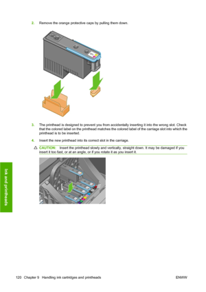 Page 1302.Remove the orange protective caps by pulling them down.
3.The printhead is designed to prevent you from accidentally inserting it into the wrong slot. Check
that the colored label on the printhead matches the colored label of the carriage slot into which the
printhead is to be inserted.
4.Insert the new printhead into its correct slot in the carriage.
CAUTION:Insert the printhead slowly and vertically, straight down. It may be damaged if you
insert it too fast, or at an angle, or if you rotate it as...
