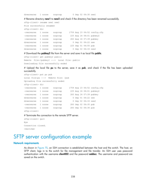 Page 248 
238 
drwxrwxrwx   1 noone    nogroup         0 Sep 02 06:30 new1 
# Rename directory new1 to new2 and check if the directory has been renamed successfully. 
sftp-client> rename new1 new2 
File successfully renamed 
sftp-client> dir 
-rwxrwxrwx   1 noone    nogroup      1759 Aug 23 06:52 config.cfg 
-rwxrwxrwx   1 noone    nogroup       225 Aug 24 08:01 pubkey2 
-rwxrwxrwx   1 noone    nogroup       283 Aug 24 07:39 pubkey 
drwxrwxrwx   1 noone    nogroup         0 Sep 01 06:22 new 
-rwxrwxrwx   1 noone...