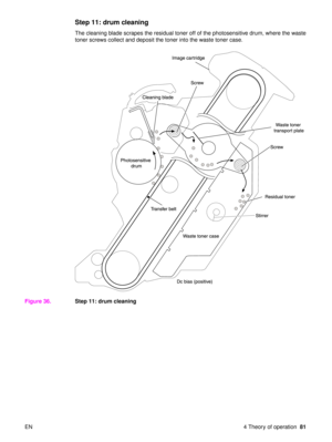 Page 83EN 4 Theory of operation81
Step 11: drum cleaning
The cleaning blade scrapes the residual toner off of the photosensitive drum, where the waste 
toner screws collect and deposit the toner into the waste toner case.
Figure 36. Step 11: drum cleaning 