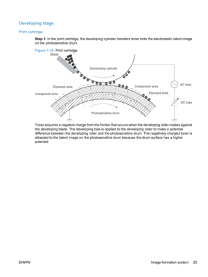 Page 43Developing stage
Print cartridgeStep 3: In the print cartridge, the developing cylinder transfers toner onto the electrostatic latent image
on the photosensitive drum.
Figure 1-18   Print cartridge
Blade
Developing cylinder
AC bias
DC bias
Photosensitive drum
Unexposed area
Exposed area
Exposed area
Unexposed area
Toner acquires a negative charge from the friction that occurs when the developing roller rotates against
the developing blade. The developing bias is applied to the developing roller to make a...