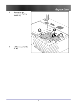 Page 42
 
Appendices 
 42
2.  Remove the two 
screws from the lamp 
module (A). 
3.  Lift the module handle 
up (B). 
 
 
  