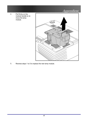 Page 43
 
Appendices 
 43
4.  Pull firmly on the 
module handle to re-
move the lamp 
module. 
 
 
5.  Reverse steps 1 to 5 to replace the new lamp module. 
  