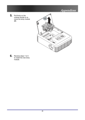 Page 41
 
Appendices 
5. Pull firmly on the 
module handle to re-
move the lamp module 
(D ) 
 
D
 
6. Reverse steps 1 to 5 
to install the new lamp 
module.  
 
41  