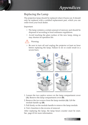 Page 49English
Replacing the Lamp
The projection lamp should be replaced when it burns out. It should 
only  be  replaced  with  a  certified  replacement  part,  which  you  can 
order from your local dealer.
Important:
4 The lamp contains a certain amount of mercury and should be disposed of according to local ordinance regulations.
4  Avoid  touching  the  glass  surface  of  the  new  lamp,  doing  so may shorten its operation life.
Warning:
4  Be  sure  to  turn  off  and  unplug  the  projector...