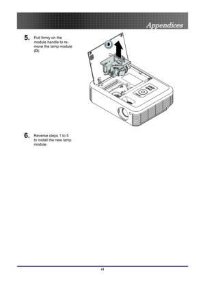 Page 41
 
Appendices 
Pull firmly on the 
module handle to re-
move the lamp module 
(D ) 
 
D
 
5. 
Reverse steps 1 to 5 
to install the new lamp 
module.  
6. 
 
41  