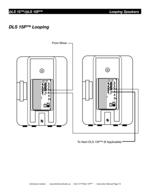 Page 13
©American Audio®   -   www.AmericanAudio.us   -  DLS 15™/DLS 15P™   -   Instruction Manual Page 13
DLS 15™/DLS 15P™                                     Looping Speakers
To Next DLS 15P™ (If Applicable)
From Mixer
DLS 15P™ Looping 