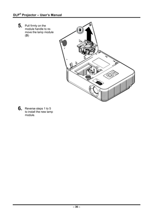 Page 44
DLP® Projector – User’s Manual 
5.  Pull firmly on the 
module handle to re-
move the lamp module 
(D) 
 
D
 
6.  Reverse steps 1 to 5 
to install the new lamp 
module. 
 
 
 
 
 
 
 
 
 
 
 
 
 
 
 
– 36 –  