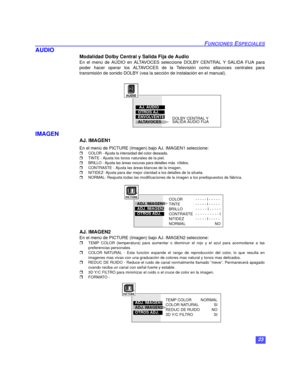 Page 5323
FUNCIONES ESPECIALES
AUDIO
Modalidad Dolby Central y Salida Fija de Audio
En el menú de AUDIO en ALTAVOCES seleccione DOLBY CENTRAL Y SALIDA FIJA para
poder hacer operar los ALTAVOCES de la Televisión como altavoces centrales para
transmisión de sonido DOLBY (vea la sección de instalación en el manual).
  
IMAGEN
AJ. IMAGEN1
En el menú de PICTURE (Imagen) bajo AJ. IMAGEN1 seleccione:
rCOLOR - Ajusta la intensidad del color deseada.
rTINTE - Ajusta los tonos naturales de la piel.
rBRILLO - Ajusta las...