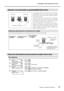 Page 9291
4-8 Realizar varios ajustes para cortar
Capítulo 4  Referencia de funciones
Ajustar con precisión la profundidad del corte
Cuando  desee  realizar  ajustes  precisos  y  exactos  de  la 
profundidad del corte, como al cortar el material con un papel 
de soporte fino, puede obtener buenos resultados ajustando 
la punta de la cuchilla.
Gire  la  parte  del  tapón  del  soporte  de  la  cuchilla  para 
ajustar  la  extensión  de  la  misma.  Cada  marca  indicadora 
corresponde a 0,1 milímetros, y se...