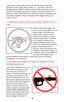 Page 3636
A safe direction must take into account the fact that a bullet may
penetrate a wall, ceiling, floor, window, etc., and strike a person or
damage property. Make it a habit to know exactly where the muzzle of
your gun is pointing whenever you handle it, and be sure that you are
always in control of the direction in which the muzzle is pointing, even
if you fall or stumble.  Keep your finger off the trigger until you are
ready to shoot!
3. FIREARMS SHOULD BE UNLOADED WHEN NOT IN
USE
.
Firearms should be...