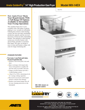 Page 1Anets GoldenFry™  14” High Production Gas Fryer 
 
 
New Anets Fryer Meets 
Yo u r  R e q u i r e m e n t s  W i t h 
A Full Range Of Options 
Available to Streamline 
Your Frying Operations 
This standard Anets fryer is now 
available with a full range of options 
making it very versatile yet affordable. 
Utilizing the exclusive Anets heating 
system, the fryer provides outstanding 
production capacity and the recovery 
necessary to keep up with a demanding 
kitchen. The patented 4 sided heating 
system...