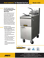 Page 1Anets GoldenFry™ 14” Standard Gas Fryer 
 
 
This All Purpose Anets 
Fryer Has Special Features
 
That Make It A Real 
Wo r k  H o r s e  
The top quality stainless steel frypot 
provides remarkable recovery and 
years of service. Unique cross-fire 
burners  provide a 4 sided heating 
system for highly efficient and 
consistent frying 
results. The easy to 
clean open frypot has sloped sides to 
prevent crumb accumulation. Food 
particles drop rapidly into the extra 
large cold zone which prolongs...