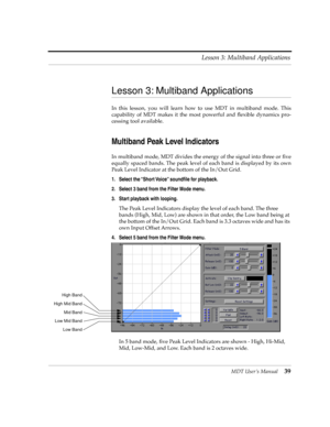 Page 39MDT UserÕs Manual39 Lesson 3: Multiband Applications
Lesson 3: Multiband Applications 
In this lesson, you will learn how to use MDT in multiband mode. This
capability of MDT makes it the most powerful and ßexible dynamics pro-
cessing tool available.
Multiband Peak Level Indicators
In multiband mode, MDT divides the energy of the signal into three or Þve
equally spaced bands. The peak level of each band is displayed by its own
Peak Level Indicator at the bottom of the In/Out Grid.
1. Select the ÒShort...