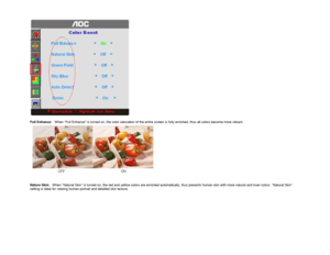 Page 12 
  
Full Enhance:    When Full Enhance is turned on, the color satur ation of the entire screen is fully enriched, thus all colors become more vibrant.  
 
   
   
Nature Skin:    When Natural Skin is turned on, the red and yel low colors are enriched automatically, thus present s human skin with more natural and truer colors. N atural Skin 
setting is ideal for viewing human portrait and det ailed skin texture.  
   
