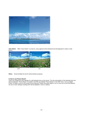 Page 12 - 12 - 
 
  
  
Auto Detect:    When “Auto Detect” is turned on, every pigment will be detected and self-adjusted to render a lively 
picture.  
 
  
  
Demo:    Screen divided into two for demonstration purposes.  
  
 
2) How to use Picture Boost?  
Users can change the color settings of a self-selected zone on the screen. The size and position of the selected zone can 
also be adjusted. Picture Boost is located in the fifth icon labeled Picture Boost in the OSD menu. Turn on Bright 
Frame to select a...
