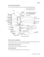 Page 89General information1-67
7500-XXX
Layout of media transport path
The main components associated with the media path and transport with the duplex installed.
Functions of main components
When the duplex is installed to the left of the printer, duplex (double-sided) printing is available with the printer.
The following outlines the functions of the main components of the duplex.
Switch (duplex left door interlock)
The switch (left door interlock) detects open/close of the left door.
Sensor (duplex wait)
The...