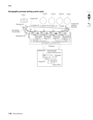 Page 601-28Service Manual 7510
Go Back Previous
Next
Xerographic process during a print cycle
K
C
M
Y
K toner
C toner M toner
Y toner
2nd transfer
roll assembly
Printhead
Transfer belt
Fuser
Cleaning rollTransfer belt
cleaning
assembly
Cleaning blade
Photo conductor drum
Charge roll
Sensor (ATC) Erase Lamp
Developer
unit K transfer roll
C transfer roll
M transfer roll
Y transfer roll
Registration roll 