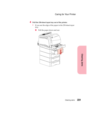 Page 247231Clearing Jams
Clearing Jams
Caring for Your Printer
4Pull the 250-sheet input tray out of the printer.
If you see the edge of the paper in the 250-sheet input
tray:
aPull the paper down and out. 