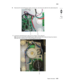 Page 337Repair information4-91
 5026
Go Back Previous
Next
6.Disconnect the camshaft/transport cable connector (C), and remove the cable from the cable clamps (D).
7.Unwind the camshaft/transport cable and the cartridge 1/fuser cables (E).
Note:  Be sure to rewind the camshaft/transport cable around the other cables with about four twists to 
keep them from interfering with or being damaged by the motors. 