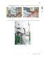 Page 313Repair information4-91
  5026
Go Back Previous
Next
10.Connect the cartridge 2/cartridge 3 motor cable (two connectors) (N), and make sure the cable is in the 
cable clamps (O).
11.Connect the camshaft/transport cable connector (P), and make sure the cable is in the cable clamps (R). 