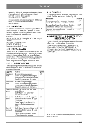 Page 109109
ITALIANOIT
Per pulire il filtro di carta non utilizzare solventi 
a base di petroli, ad es. cherosene. Questi 
solventi possono danneggiare 
irrimediabilmente il filtro.
Non usare aria compressa  per pulire il filtro di 
carta. Il filtro di carta non richiede 
lubrificazione. 
5.11 CANDELA
Le candele devono essere sostituite ogni 200 ore di 
funzionamento (= dopo due Controlli di Base).
Prima di togliere la cande la pulire la zona circo-
stante il suo punto di installazione.
Candela
: 
Pro16, Pro20,...