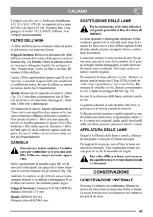 Page 4545
ITALIANOIT
Riempire con olio nuovo: Utilizzare lubrificante 
SAE 30 o SAE 10W-30. La capacità della coppa 
dellolio è di circa 0,55 litri. Riempire fino a rag-
giungere il livello ‘FULL/MAX’ sullasta. Non 
riempire eccessivamente.
FILTRO DELLARIA
Un filtro dellaria sporco e intasato riduce la poten-
za del motore e ne aumenta lusura.
Briggs & Stratton:  Rimuovere delicatamente i filtri 
dellaria evitando di far cadere della sporcizia nel car-
buratore (fig. 12). Estrarre il filtro in schiuma e lavar-...