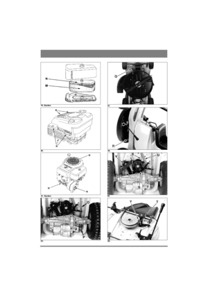Page 5N
M
19. Garden
20. 
21. Garden
22.23.
24.
25.
26. 