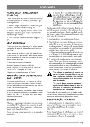 Page 119119
PORTUGUÊSPT
FILTRO DE AR - CATALISADOR 
(Pro20 Cat)
Limpe o filtro de ar do catalisador de 3 em 3 meses 
ou a cada 25 horas de operação, conforme o que 
ocorrer primeiro.
1. Retire a tampa comprimindo o fecho com, por 
exemplo, uma chave de fendas (fig. 22).
2. Retire o filtro de esponja plástica e lave-o com 
detergente líquido e água. Seque-o espremendo. 
Não lubrifique o filtro.
3. Volte a colocar o filtro e encaixe a tampa no lu-
gar.
VELA DE IGNIÇÃO
Para controlar a faísca da(s) vela(s), utilize...