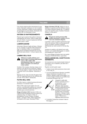 Page 6
ITALIANOIT
Una volta per stagione pulire internamente le ruote 
motrici. Smontare i coprimozzo, le viti, le rondelle 
e le ruote. Spazzolare o soffiare con aria compressa 
gli ingranaggi e le corone dentate, eliminando erba 
e sporco (fig. 10). Rimontare le ruote
SISTEMA DI RAFFREDDAMENTO
Prima di ogni occasione duso pulire il sistema di 
raffreddamento del motore. Pulire le flange della 
testa del cilindro e la presa di aspirazione dellaria 
da erba, sporco e simili.
LUBRIFICAZIONE
Selezionare laltezza...