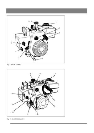 Page 4
85
3
7
6
2 41
Fig. 9. SNOW STORM
Fig. 10. SNOW BLIZZARD 