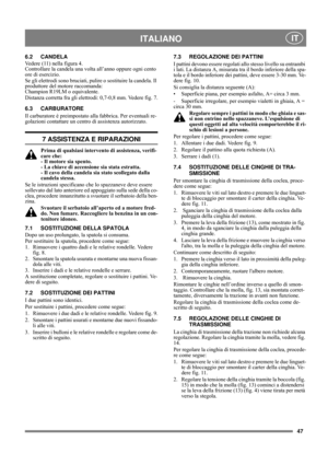 Page 1047
ITALIANO IT
6.2 CANDELA
Vedere (11) nella figura 4. 
Controllare la candela una volta all’anno oppure ogni cento 
ore di esercizio.
Se gli elettrodi sono bruciati, pulire o sostituire la candela. Il 
produttore del motore raccomanda: 
Champion R19LM o equivalente.
Distanza corretta fra gli elettrodi: 0,7-0,8 mm. Vedere fig. 7.
6.3 CARBURATORE
Il carburatore è preimpostato alla fabbrica. Per eventuali re-
golazioni contattare un centro di assistenza autorizzato. 
7 ASSISTENZA E RIPARAZIONI
Prima di...