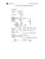 Page 201 
 TroubleshootingGeneral/Block Diagrams -  3 
Power Mac G4 (AGP Graphics) Block Diagram
100 MHz
memory bus100 MHz
Max bus
Microphone jack
Headphone jack Ethernet port Firewire port
Firewire port 32-bit
66 MHz
PCI busAGP
2x slot AGP 2x bus
PCI slots
64-bit
33 MHz
PCI bus
Backside
L2 cachePowerPC G4
microprocessor
UniNorth
memory
controller
and PCI
bus bridge
PMU99
power
controller
Boot
ROM
Ethernet
PHY
Firewire
PHY
Ethernet
controller
Firewire
controller
Screamer
sound IC
Modem slot...