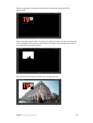 Page 373 Chapter 11    Keying and compositing 373
Below is an example of a clip with an alpha channel, showing the image that fills the 
alpha channel.
Below is the alpha channel image—the white areas define the video areas that are composited 
over the background. The gray areas (which define the shadow in this example) define parts of 
the image that are partially transparent.
This is what the final composite looks like over a background clip.
67% resize factor 