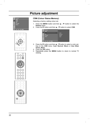 Page 2222
Picture adjustment
CSM (Colour Status Memory) 
Selecting a factory setting colour set.
1. Press the MENU button and then 
D
D 
 / E
E 
 button to select the
Picturemenu.
2. Press the 
G Gbutton and then D
D 
 / E
E 
 button to select CSM.
3. Press the 
G Gbutton and then D
D 
 / E
Ebutton to select a color set-
ting on the CSMmenu: Cool, Normal, Warm or User (Red,
Green, Blue).
4. Press the OK button.
5.
Repeatedly press the MENUbutton to return to normal TV
viewing.
Picture
DE  F GOK MENU
PSM
CSM
XD...