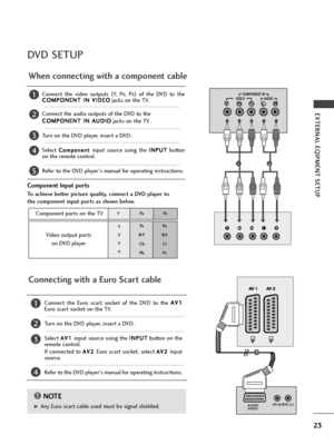 Page 2523
EXTERNAL EQIPMENT SETUP
DVD SETUP
When connecting with a component cable
AV 1 AV 2YPBPRLRVIDEOCOMPONENT IN
AUDIO
Component Input ports
To achieve better picture quality, connect a DVD player to
the component input ports as shown below.
Component ports on the TV
YPBPR
Video output ports 
on DVD player
Y
Y
Y
YPB
B-Y
Cb
PbP
R
R-Y
Cr
Pr
Connect the video outputs (
Y,  PB, PR)
of the DVD to the
C CO
OM
MP
PO
ON
NE
EN
NT
T 
 I
IN
N 
 V
VI
ID
DE
EO
O
jacks on the TV. 
Connect the audio outputs of the DVD to...