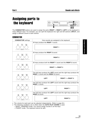 Page 39Assigning parts to
 the keyboard
The CONDUCTOR buttons are used to assign the parts (RIGHT 1, RIGHT 2, LEFT) to the keyboard in
many different ways. For example, you can split the keyboard into right and left sections (SPLIT), and
assign a different sound to each section.
CONDUCTOR
•The volume for each part can be adjusted independently. (Refer to page 29.)
•The following conditions are in effect when the AUTO PLAY CHORD is used.
—BASIC, FINGERED mode: You cannot assign sounds to all the keys.
—PIANIST...