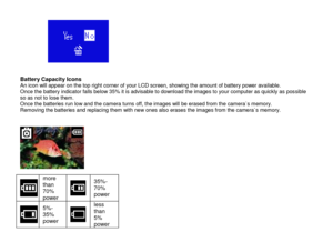 Page 13 
  12 
                 Battery Capacity Icons An icon will appear on the top right corner of your LCD screen, showing the amount of battery power available. Once the battery indicator falls below 35% it is advisable to download the images to your computer as quickly as possible so as not to lose them.  Once the batteries run low and the camera turns off, the images will be erased from the camera`s memory.  Removing the batteries and replacing them with new ones also erases the images from the camera`s...