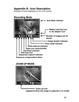 Page 22 25
Auto-Date indicator
Battery warning icon 
or AC adaptor icon
Number of images can be 
stored
Image Quality Indicator
White balance indicatorFous mode indicator
Flash icon (Auto/Fill/Off)
Pre-Flash indicator
Self-time icon
Sequential capture indicator
Exposure compensation Value
ZOOM UP MODE
    Recording Mode
Appendix B : Icon DescriptionExample of Icons displayed on the LCD monitor
                    Zoom up icon
(Appeared when the image is captured in 2x mode)    