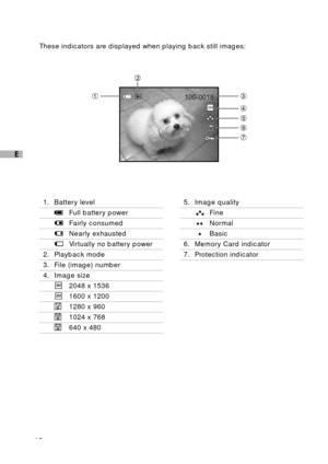 Page 1312
E
These indicators are displayed when playing back still images:
1. Battery level
Full battery power
Fairly consumed
Nearly exhausted
Virtually no battery power
2. Playback mode
3. File (image) number
4. Image size
2048 x 1536
1600 x 1200
1280 x 960
1024 x 768
640 x 480
5. Image quality
Fine
Normal
Basic
6. Memory Card indicator
7. Protection indicator 