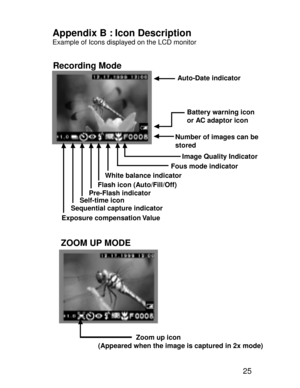 Page 22Downloaded from www.Manualslib.com manuals search engine 25
Auto-Date indicator
Battery warning icon 
or AC adaptor icon
Number of images can be 
stored
Image Quality Indicator
White balance indicatorFous mode indicator
Flash icon (Auto/Fill/Off)
Pre-Flash indicator
Self-time icon
Sequential capture indicator
Exposure compensation Value
ZOOM UP MODE
    Recording Mode
Appendix B : Icon DescriptionExample of Icons displayed on the LCD monitor
                    Zoom up icon
(Appeared when the image is...