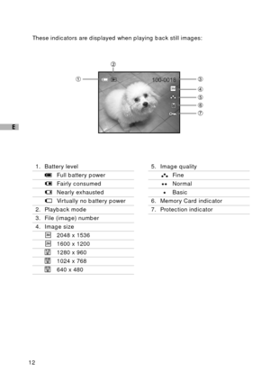 Page 1312
E
These indicators are displayed when playing back still images:
1. Battery level
Full battery power
Fairly consumed
Nearly exhausted
Virtually no battery power
2. Playback mode
3. File (image) number
4. Image size
2048 x 1536
1600 x 1200
1280 x 960
1024 x 768
640 x 480
5. Image quality
Fine
Normal
Basic
6. Memory Card indicator
7. Protection indicator 