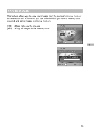 Page 5453
E
COPY TO SD CARD
This feature allows you to copy your images from the camera’s internal memory
to a memory card.  Of course, you can only do this if you have a memory card
installed and some images in internal memory.
[NO] : Does not copy the images
[YES] : Copy all images to the memory card 