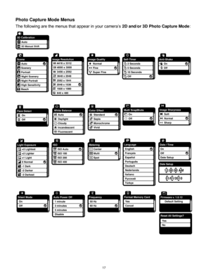 Page 18 17 
Photo Capture Mode Menus 
The following are the menus that appear in your camera‟s 2D and/or 3D Photo Capture Mode: 
 
 
 
 
 
  