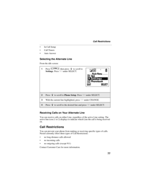 Page 8577
Call Restrictions
In Call Setup
Call Timers
Auto Answer
Selecting the Alternate Line
From the idle screen:
Receiving Calls on Your Alternate Line
You can receive calls on either Line, regardless of the active Line setting. The 
active line icon (1 or 2) displays to indicate which Line the call is being received 
on.
Call Restrictions
You can prevent your phone from making or receiving specific types of calls. 
Nextel currently offers three types of Call Restrictions:
no long distance calls...