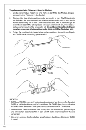 Page 68
68

Vorgehensweise beim einbau von Speicher Modulendie Speichermodule haben nur eine  kerbe in der Mitte des Moduls. Sie pas-sen nur in einer Richtung in den Sockel.
Stecken  Sie  das arbeitsspeichermodul  senkrecht  in  den  diMM-Steckplatz 
ein. drücken Sie anschließend das arbeitsspeichermodul nach unten, bis die 
kontaktseite richtig tief in dem  diMM-Steckplatz sitzt. der kunststoffbügel an 
jedem  ende des  diMM-Steckplatzes schnappt automatisch ein, wenn das  ar
-beitsspeichermodul  richtig...