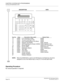 Page 223 NEAX2000 IVS2 CCIS System ManualPage 210  ND-70918 (E), Issue 1.0
CHAPTER 3 SYSTEM DATA PROGRAMMING
Incoming Call Identification-CCIS
Operating Procedure
No manual operation is required.
DESCRIPTION DATA
Key No.
     Data             Description (Key Label)                    Default Data         
13 F6000 C.O. Incoming 0 (LDN) NONE
14 F6040 Tie Line Incoming 0 (TIE) NONE
15 F6064 Call Forwarding-Busy Line (Busy) NONE
16 F6060 Operator Call (ATND) F6061 (Recall)
17 F6063 Call Forwarding-No Answer (NANS)...