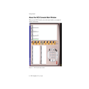 Page 12 
Getting Started 
 
6
 
NCS Console
 
 4.0 User Guide
 
About the NCS Console Main Window 
When you run NCS Console, you see the main window, an example of 
which is shown here. 
 
Figure 2. NCS Console main window 